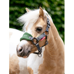 Cabezada y ramal Mini LeMieux Vogue Verde hunter Cabezada y ramal Mini LeMieux Vogue Verde hunter