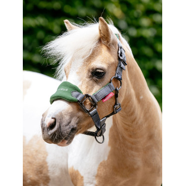 Cabezada y ramal Mini LeMieux Vogue Verde hunter Cabezada y ramal Mini LeMieux Vogue Verde hunter