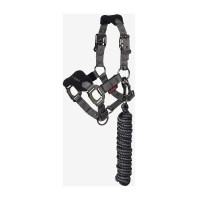 Cabezada y ramal Mini LeMieux Vogue Negro