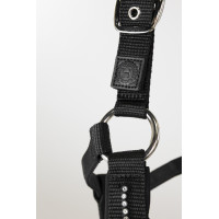 Cabezada y ramal Harcour Amour Marino Azul marino