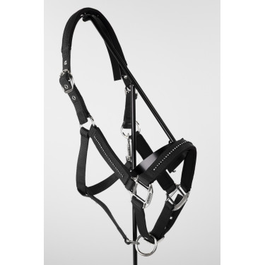 Cabezada y ramal Harcour Amour Negro Cabezada y ramal Harcour Amour Negro