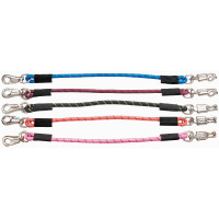 Ramal de transporte...