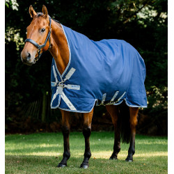Cobertura Horseware Rhino Wug Turnout 0g Negro / gris titanio / azul clásico Cobertura Horseware Rhino Wug Turnout 0g Negro / gris titanio / azul clásico