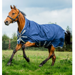 Cobertura Horseware Rhino Wug Turnout 0g Negro / gris titanio / azul clásico Cobertura Horseware Rhino Wug Turnout 0g Negro / gris titanio / azul clásico