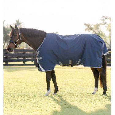 Cobertura Horseware Rhino Turnout 0g Negro / gris titanio / azul clásico Cobertura Horseware Rhino Turnout 0g Negro / gris titanio / azul clásico