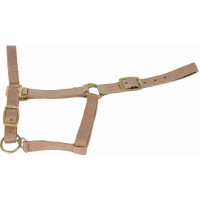 Cabezada de cuadra piel suedina T de T Beige