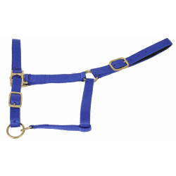 Cabezada de cuadra piel suedina T de T Azul real