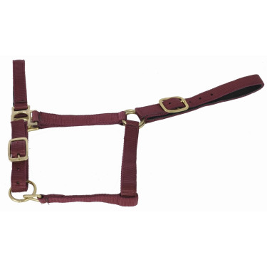 Cabezada de cuadra piel suedina T de T Burdeos