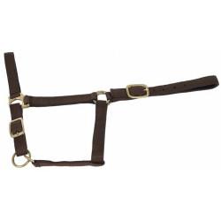 Cabezada de cuadra piel suedina T de T Marrón oscuro