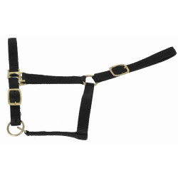 Cabezada de cuadra piel suedina T de T Negro