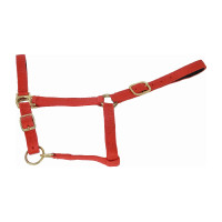 Cabezada de cuadra piel suedina T de T Roja Rojo