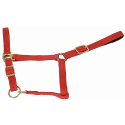 Cabezada de cuadra piel suedina T de T Cabezada de cuadra piel suedina T de T