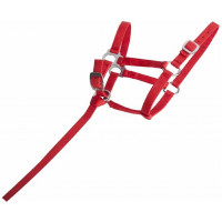 Cabezada de cuadra foal sintetico T de T Roja