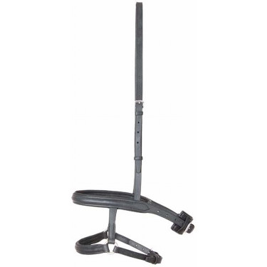 Muserolas francesa y alemana T de T Negro