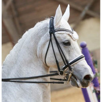 Cabezada doble riendas Ribero cuero T de T Negro Cabezada doble riendas Ribero cuero T de T Negro