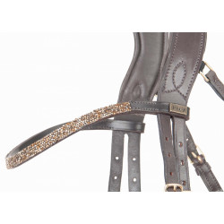 Cabezada testera anatomica Hopper strass T de T