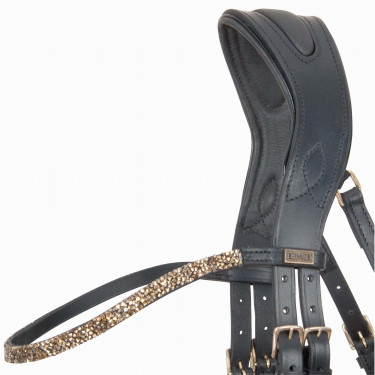 Cabezada testera anatomica Hopper strass T de T Negro / dorado