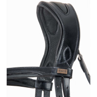 Cabezada testera anatomica Matisse T de T Negro / blanco