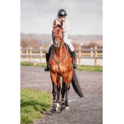 Collar Martin Pénélope Havana Marrón