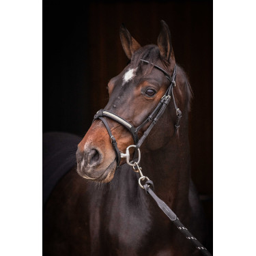 Cabezada PENELOPE - Symphonie SR - Negro Cabezada PENELOPE - Symphonie SR - Negro