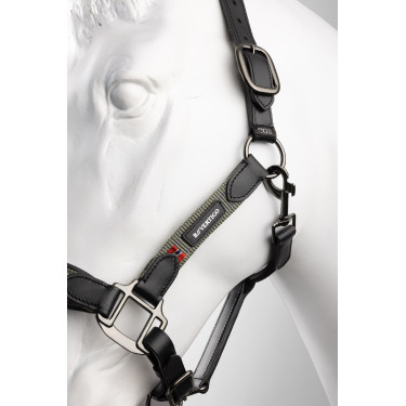 Cabezada de cuero B Vertigo Lennox Escarabajo verde