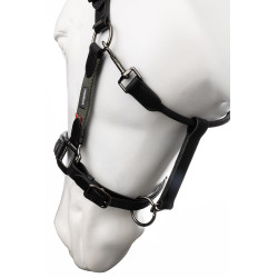 Cabezada de cuero B Vertigo Lennox Escarabajo verde