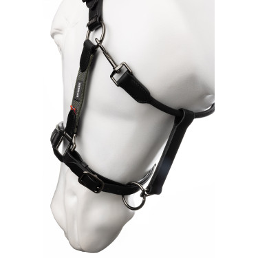 Cabezada de cuero B Vertigo Lennox Escarabajo verde