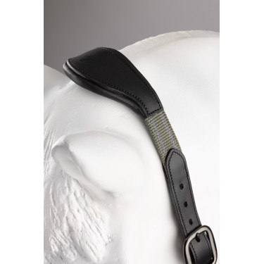 Cabezada de cuero B Vertigo Lennox Escarabajo verde