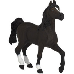 Caballo Árabe PAPO