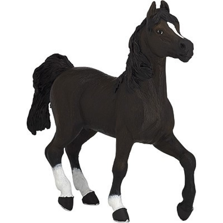 Caballo Árabe PAPO