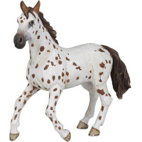 Yegua Appaloosa PAPO Yegua Appaloosa PAPO
