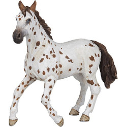 Yegua Appaloosa PAPO
