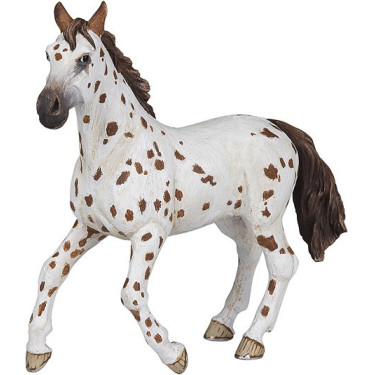 Yegua Appaloosa PAPO