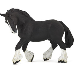 Semental Shire negro PAPO