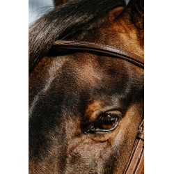 Bridon NORTON - Hunter Castaño Marrón