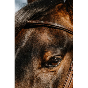 Bridon NORTON - Hunter Castaño Marrón