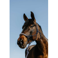 Licol éthologique + longe NORTON - Deco Marrón / beige