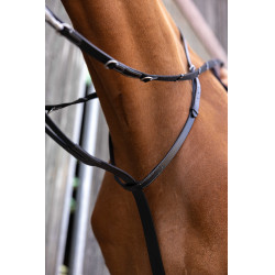 Chambón Norton Pro Thiedeman Negro