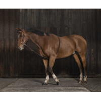 Sistema Norton extensor suave marine, contrastes noirs Azul