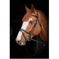 Birdon Oxford Performance Pénélope Negro