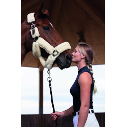 Cabezada Equi-Theme Teddy Chocolate / crudo Marrón