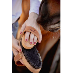 Cepillo PENELOPE modelo grande