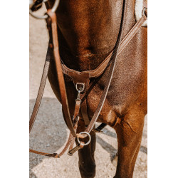 Pechopetral NORTON - 5 puntos Havana Marrón