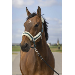 Cabezada de cuadra EQUITHÈME Nylon Mouton Verde / blanco