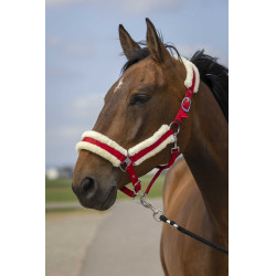 Cabezada de cuadra EQUITHÈME Nylon Mouton Rojo / blanco