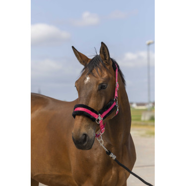 Cabezada de cuadra EQUITHÈME Nylon Mouton Cabezada de cuadra EQUITHÈME Nylon Mouton