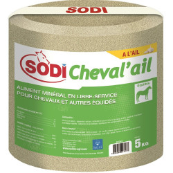 Piedra de sal Sodi Ajo Piedra de sal Sodi Ajo