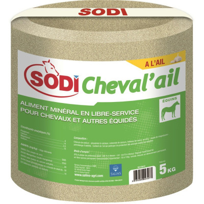 Piedra de sal Sodi Ajo