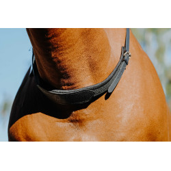 Collar de montar a pelo Norton