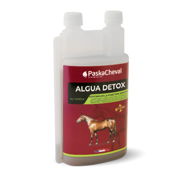 Algua Digest Paskacheval Algua Digest Paskacheval